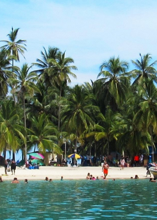 portfolio_image