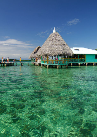 portfolio_image